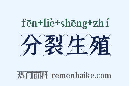 分裂生殖是什么意思的图片